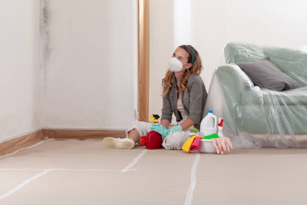 Reliable Mold Remediation contractor in Englishtown, NJ by 24 Hour Mold Removal